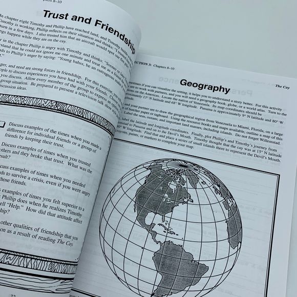 THE CAY by Theodore Taylor LITERATURE UNIT Teacher Resource Homeschool Lesson - Picture 3 of 7